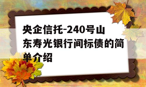 央企信托-240号山东寿光银行间标债的简单介绍