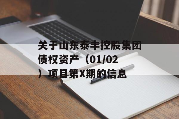 关于山东泰丰控股集团债权资产（01/02）项目第X期的信息