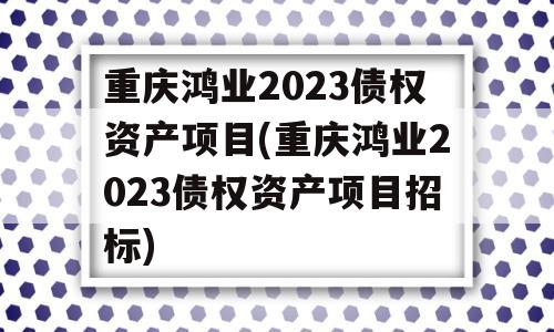 重庆鸿业2023债权资产项目(重庆鸿业2023债权资产项目招标)