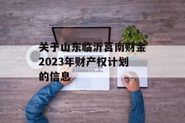 关于山东临沂莒南财金2023年财产权计划的信息