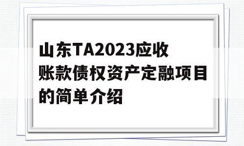 山东TA2023应收账款债权资产定融项目的简单介绍