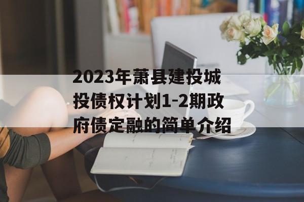 2023年萧县建投城投债权计划1-2期政府债定融的简单介绍