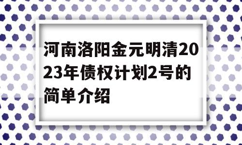 河南洛阳金元明清2023年债权计划2号的简单介绍