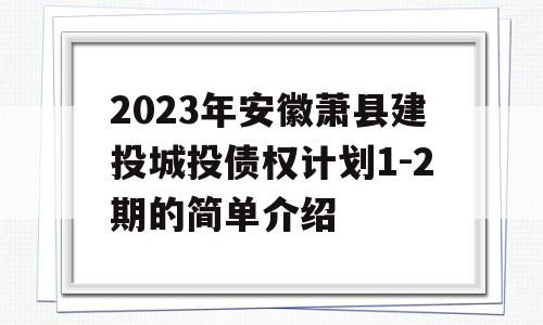 2023年安徽萧县建投城投债权计划1-2期的简单介绍