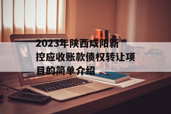 2023年陕西咸阳新控应收账款债权转让项目的简单介绍