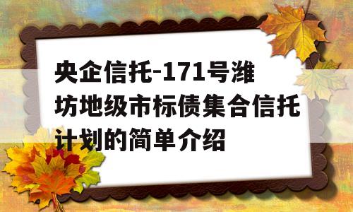 央企信托-171号潍坊地级市标债集合信托计划的简单介绍