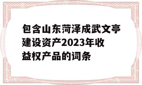 包含山东菏泽成武文亭建设资产2023年收益权产品的词条