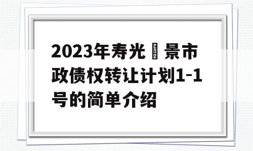 2023年寿光昇景市政债权转让计划1-1号的简单介绍