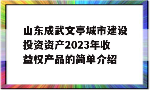 山东成武文亭城市建设投资资产2023年收益权产品的简单介绍