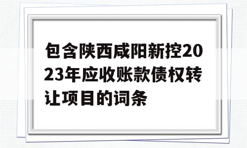 包含陕西咸阳新控2023年应收账款债权转让项目的词条