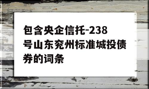 包含央企信托-238号山东兖州标准城投债券的词条