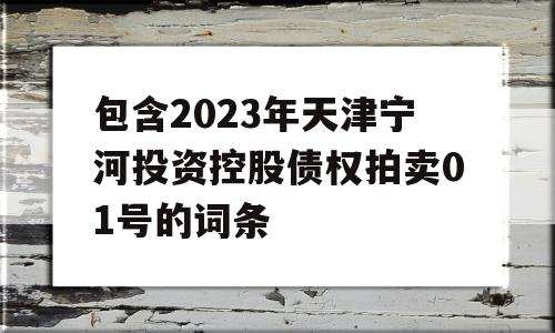 包含2023年天津宁河投资控股债权拍卖01号的词条