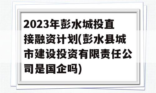 2023年彭水城投直接融资计划(彭水县城市建设投资有限责任公司是国企吗)