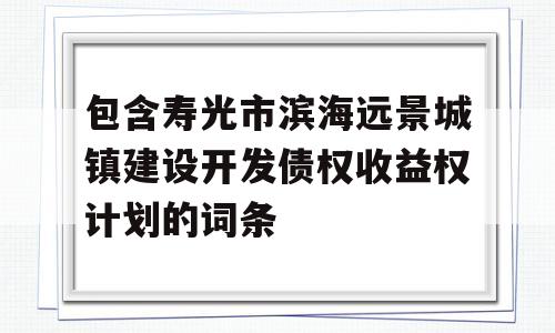 包含寿光市滨海远景城镇建设开发债权收益权计划的词条