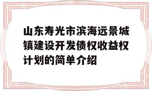 山东寿光市滨海远景城镇建设开发债权收益权计划的简单介绍