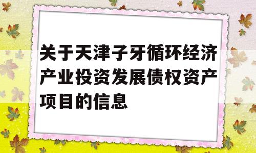 关于天津子牙循环经济产业投资发展债权资产项目的信息