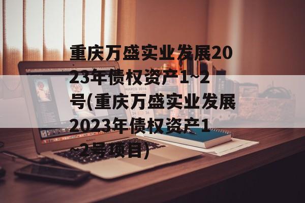 重庆万盛实业发展2023年债权资产1~2号(重庆万盛实业发展2023年债权资产1~2号项目)