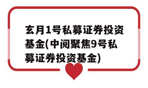 玄月1号私募证券投资基金(中阅聚焦9号私募证券投资基金)