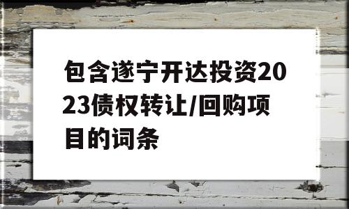 包含遂宁开达投资2023债权转让/回购项目的词条