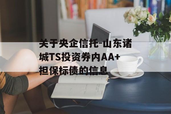 关于央企信托-山东诸城TS投资券内AA+担保标债的信息