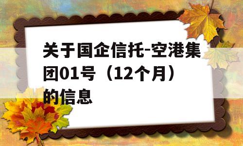 关于国企信托-空港集团01号（12个月）的信息