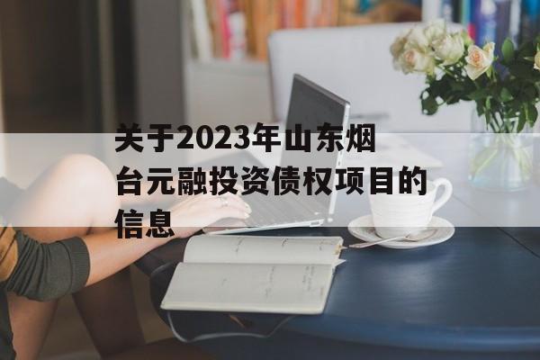 关于2023年山东烟台元融投资债权项目的信息