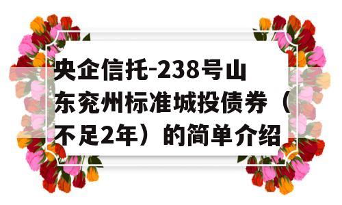 央企信托-238号山东兖州标准城投债券（不足2年）的简单介绍