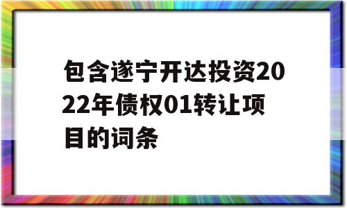 包含遂宁开达投资2022年债权01转让项目的词条