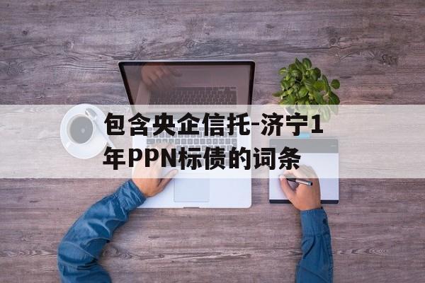 包含央企信托-济宁1年PPN标债的词条