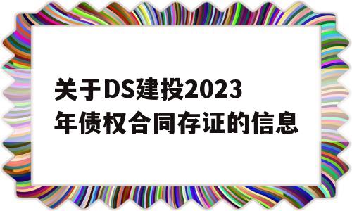 关于DS建投2023年债权合同存证的信息