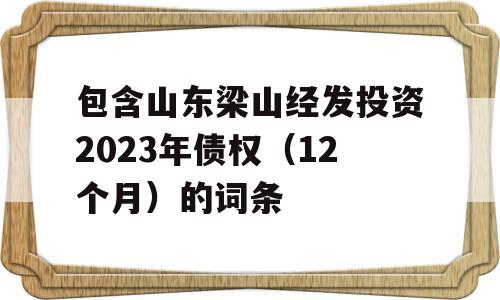 包含山东梁山经发投资2023年债权（12个月）的词条