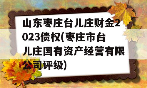 山东枣庄台儿庄财金2023债权(枣庄市台儿庄国有资产经营有限公司评级)