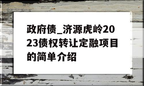 政府债_济源虎岭2023债权转让定融项目的简单介绍