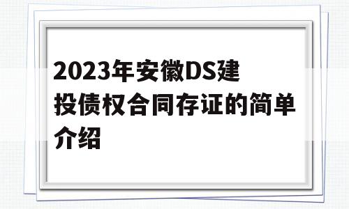 2023年安徽DS建投债权合同存证的简单介绍