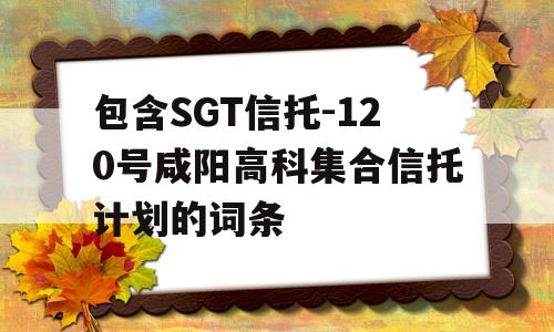 包含SGT信托-120号咸阳高科集合信托计划的词条