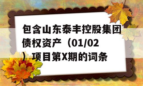 包含山东泰丰控股集团债权资产（01/02）项目第X期的词条