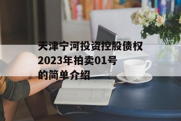 天津宁河投资控股债权2023年拍卖01号的简单介绍