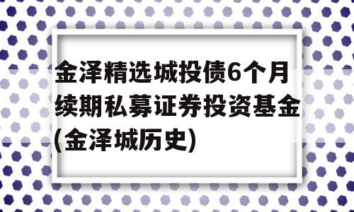 金泽精选城投债6个月续期私募证券投资基金(金泽城历史)