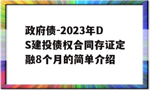 政府债-2023年DS建投债权合同存证定融8个月的简单介绍