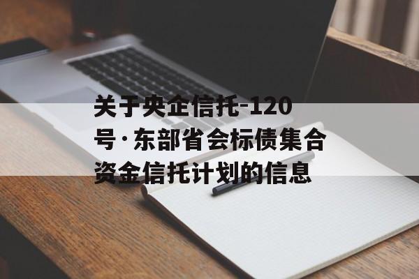 关于央企信托-120号·东部省会标债集合资金信托计划的信息