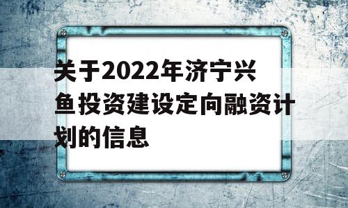 关于2022年济宁兴鱼投资建设定向融资计划的信息