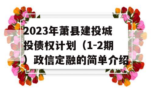 2023年萧县建投城投债权计划（1-2期）政信定融的简单介绍