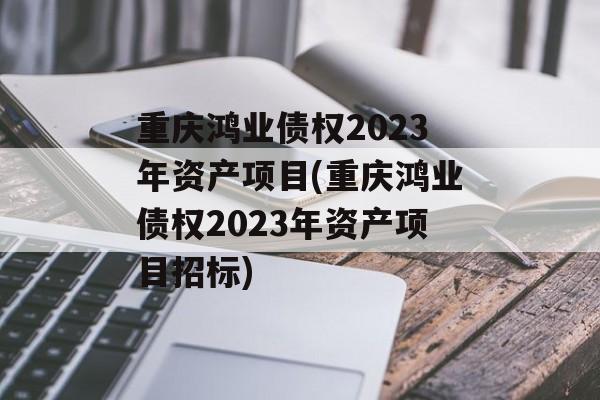 重庆鸿业债权2023年资产项目(重庆鸿业债权2023年资产项目招标)