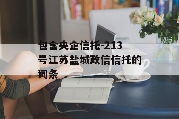 包含央企信托-213号江苏盐城政信信托的词条