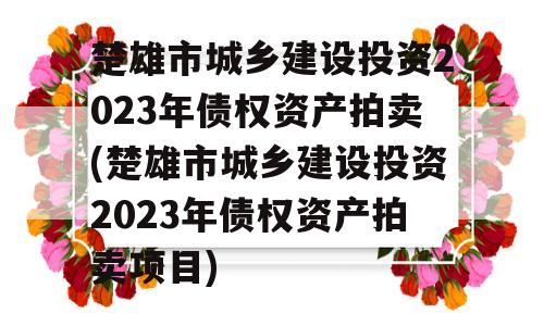 楚雄市城乡建设投资2023年债权资产拍卖(楚雄市城乡建设投资2023年债权资产拍卖项目)