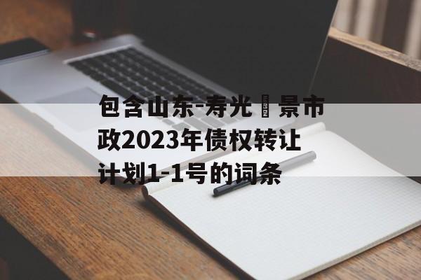 包含山东-寿光昇景市政2023年债权转让计划1-1号的词条