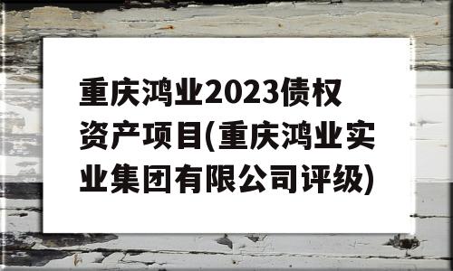 重庆鸿业2023债权资产项目(重庆鸿业实业集团有限公司评级)