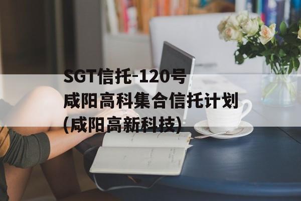 SGT信托-120号咸阳高科集合信托计划(咸阳高新科技)