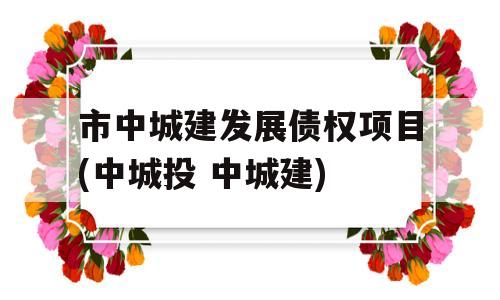 市中城建发展债权项目(中城投 中城建)