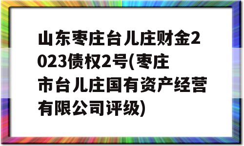 山东枣庄台儿庄财金2023债权2号(枣庄市台儿庄国有资产经营有限公司评级)